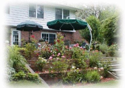 Bed and Breakfast Dorchester House à Niagara Falls Extérieur photo