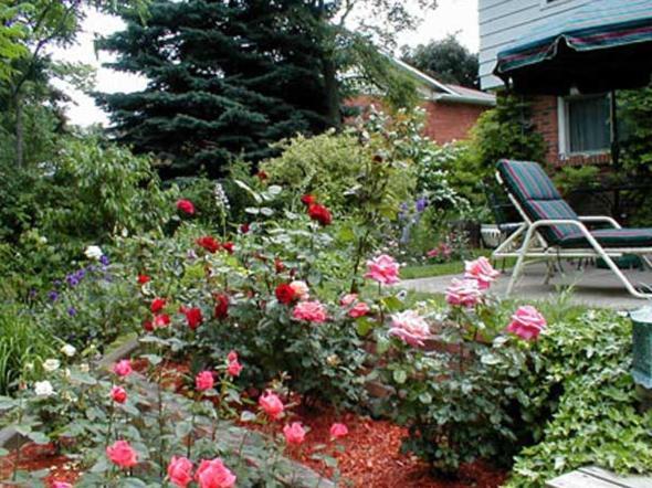Bed and Breakfast Dorchester House à Niagara Falls Extérieur photo